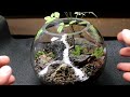 盆栽テラリウムを作る Make a Bonsai Terrarium
