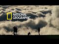 Leafcutter Ants Slice Leaves for the Colony | A Real Bug's Life | National Geographic