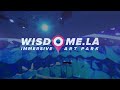 Wisedome flight Sample