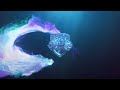 Fantasy Dragon Logo Reveal Intro Template for After Effects || Free Download