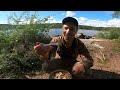 Solo trout fishing deep in the forest | Catch 'n cook | Harvesting berries and mushrooms