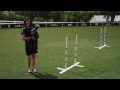 Dog Agility - Weave Poles - 2x2 - Pro Plan P5 Training