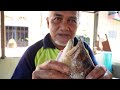 Kari Ikan POWER Balik Pulau | Pak Wan Kari Sembilang