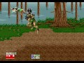 Golden Axe II Test Recording