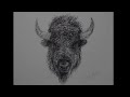 How to Draw a Bison Portrait | Amazing Drawing Style / MUST WATCH