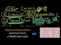 Complete Blood Count / CBC Interpretation (Leukocytosis)