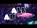 All About The Square Back Anthias or Purple Blotch Basslet or Square Anthias