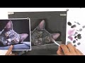 Mastering PanPastels: Step-by-step Cat Drawing Tutorial for Beginners