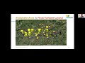 Perspectives on Wind-Wildlife Constraints to Buildout Webinar 1: Siting