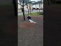 Watch when Daisy jumped on the swing