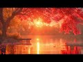 1 hour of relaxation perfect for meditation and to reduce stress fast