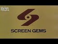 Hazel Season 5 episode 27 Credits Screen gems logo (1966)