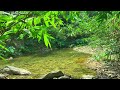 Cool Stream in Severe Weather Outlook, Stream Sound and Birds in Forest, 10 Hours White Noise, ASRM