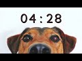 20 Minute Timer for School and Homework - Dog Bark Alarm Sound