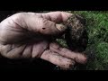 Rockhounding Crystals at Buddy's Mineral Claim