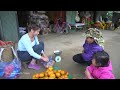Harvest Orange Fruit Goes To Village Market Sell - Sell Pigs | My Bushcraft / Nhất