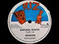Earl 16 - Natural Roots Part 1 & 2 / The Equalizers - Version & Roots Food Dub (Riz 1992 12