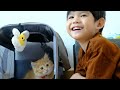 Why God Sent You a Cat - EXTREMELY HEARMELTING!