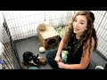 24 Hours In the Life of a Bunny Foster Mom!