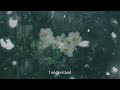 Ian Usares - No Matter What (Official Lyric Video)