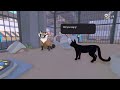 little kitty BIG CITY - Full Game