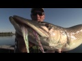 Sightfishing Monster Pike and Trout Combo ft. Jon B. (Manitoba Northern Region)