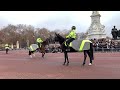 Buckingham Palace | Changing of the Guard #1 ~ 11 / 12 / 22