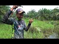 TANTANGAN !!! Mancing Pakai Katak Yang Sangat Kecil 😱