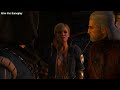 Witcher 3 - What Happens if You Sabotage Radovid’s Assassination?