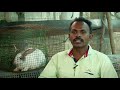 muyal valarpu in tamil | Rabbit farming complete guide | cage | food | care