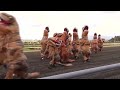 VIDEO: Dinosaurs take the track in viral T-Rex races