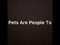 SpongeBob Song Pets Are People To