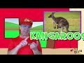 Australian Animals with Matty Crayon