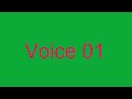 VOICE 1