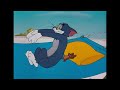 Tom & Jerry | Springtime Chasing | @GenerationWB