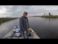 Non Stop Walleye At Gangler's Bain Lake Camp!