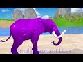 Paint & Animals Duck,Gorilla,Lion,Elephant,Cow,Sheep Fountain Crossing Transformation Animal Cartoon