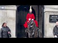King's Guard horse bites TWO women's ponytails when they get too close