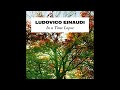 Experience by Ludovico Einaudi - 1 Hour