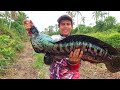 CASTING IKAN TOMAN MONSTER DI AIR HITAM SUNGGUH SANGAT GANAS!!