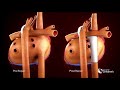 Medical Animation: Fontan Operation | Cincinnati Children's