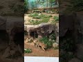 新竹動物園