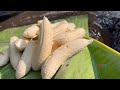 Fresh banana cooking in forest with countryside life