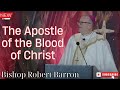 Bishop Robert Barron  |  The Apostle of the Blood of Christ