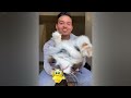 Funniest Animals 2024 🤣 Best Funny Cats and Dogs 😻🐈 Part 08 | Cute Baby Animals