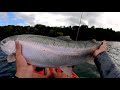 HUGE August Rainbow Trout || Finger Lakes, NY