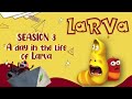 LARVA - What To Do If You Have Many Children - The Most Special Funny Larva - Funny Cartoons 2024.