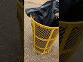 Squirrel hiding in a trash can