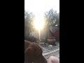 My dogs eating popsicles - Dog Hill Pawps