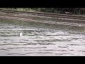 Flood over Rail Tracks